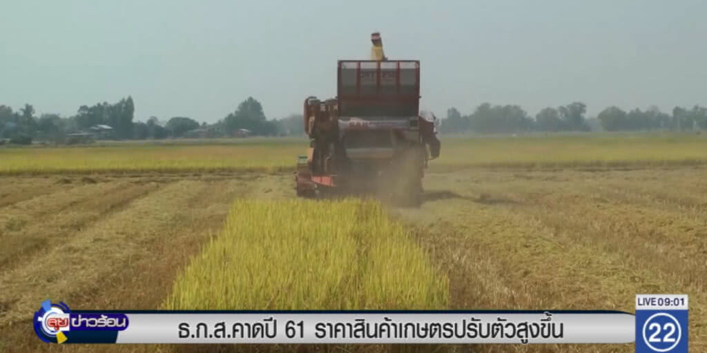 ธ.ก.ส. คาดปี 61 ราคาสินค้าเกษตรปรับตัวสูงขึ้น ธ.ก.ส. คาดปี 61 ราคาสินค้าเกษตรปรับตัวสูงขึ้น