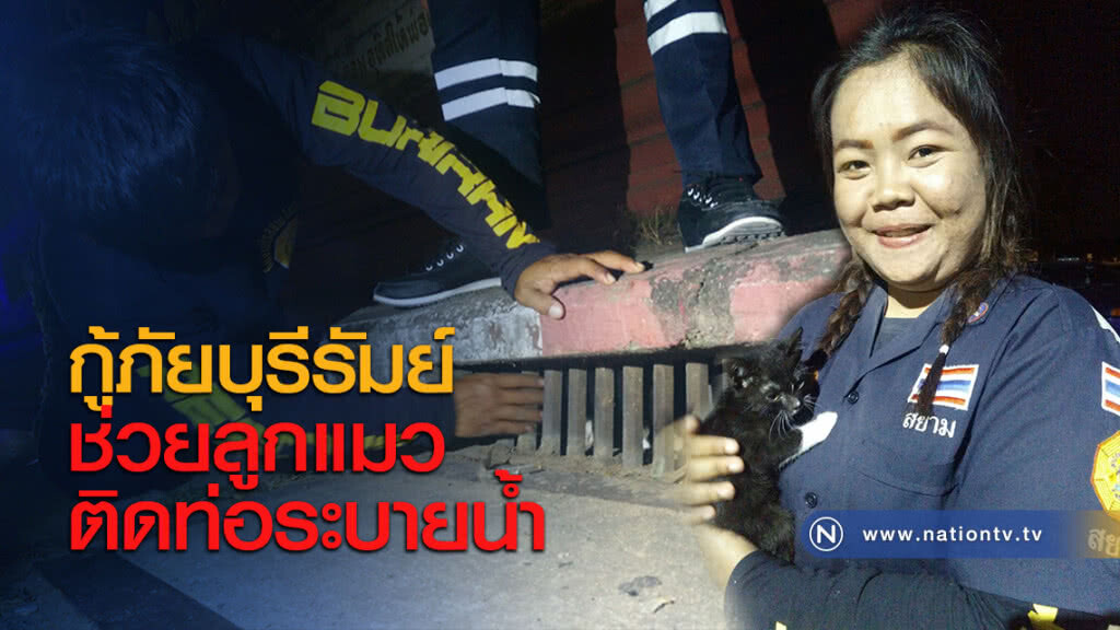กู้ภัยบุรีรัมย์ช่วยลูกแมวติดท่อระบายน้ำ