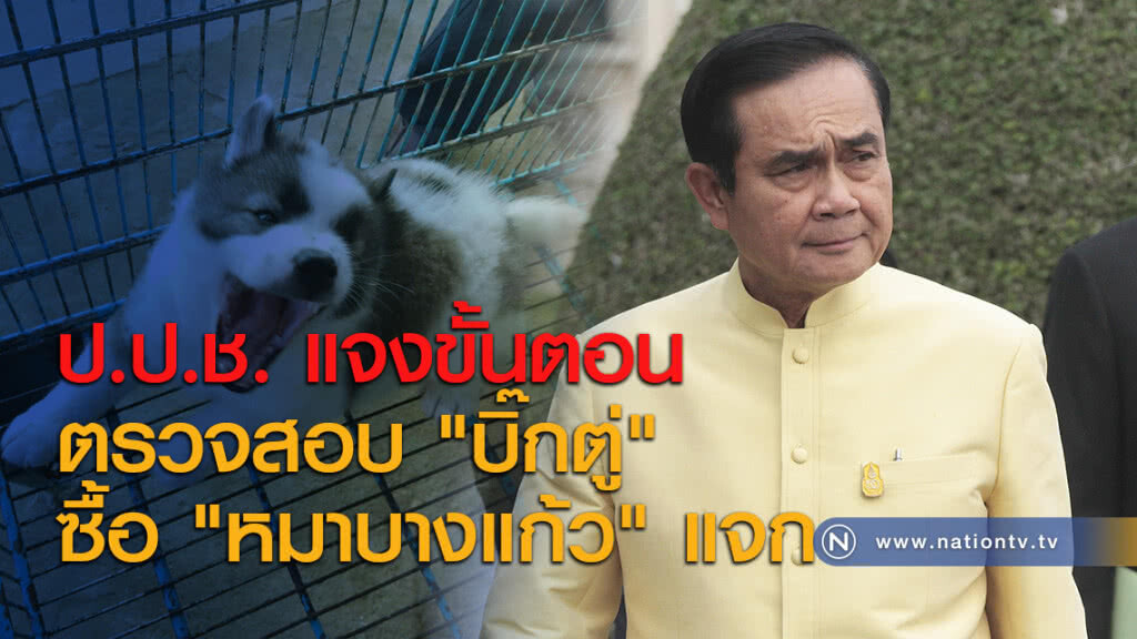 ป.ป.ช. แจงขั้นตอนตรวจสอบ "บิ๊กตู่" ซื้อ "หมาบางแก้ว" แจก ป.ป.ช. แจงขั้นตอนตรวจสอบ "บิ๊กตู่" ซื้อ "หมาบางแก้ว" แจก