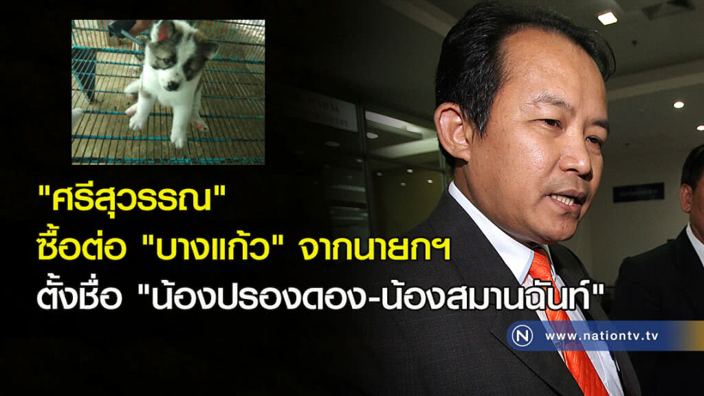 "ศรีสุวรรณ" ซื้อต่อ "สุนัข บางแก้ว" จากนายกฯ ตั้งชื่อ "น้องปรองดอง-น้องสมานฉันท์" "ศรีสุวรรณ" ซื้อต่อ "สุนัข บางแก้ว" จากนายกฯ ตั้งชื่อ "น้องปรองดอง-น้องสมานฉันท์"