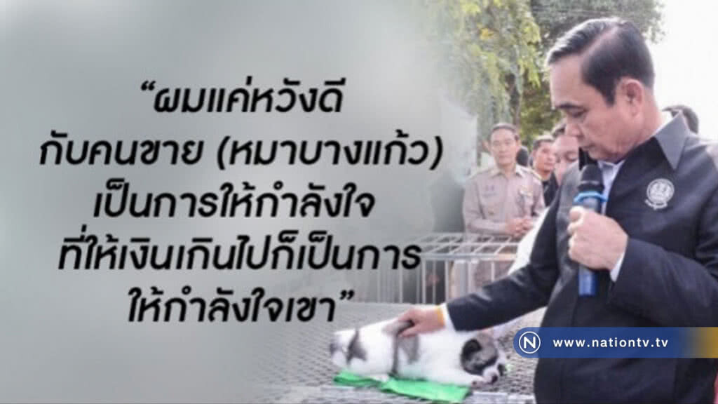 "เสือ-ไทเกอร์-ไข่ตุ๋น" หมา 3 ตัวบ้าน "บิ๊กตู่" "เสือ-ไทเกอร์-ไข่ตุ๋น" หมา 3 ตัวบ้าน "บิ๊กตู่"