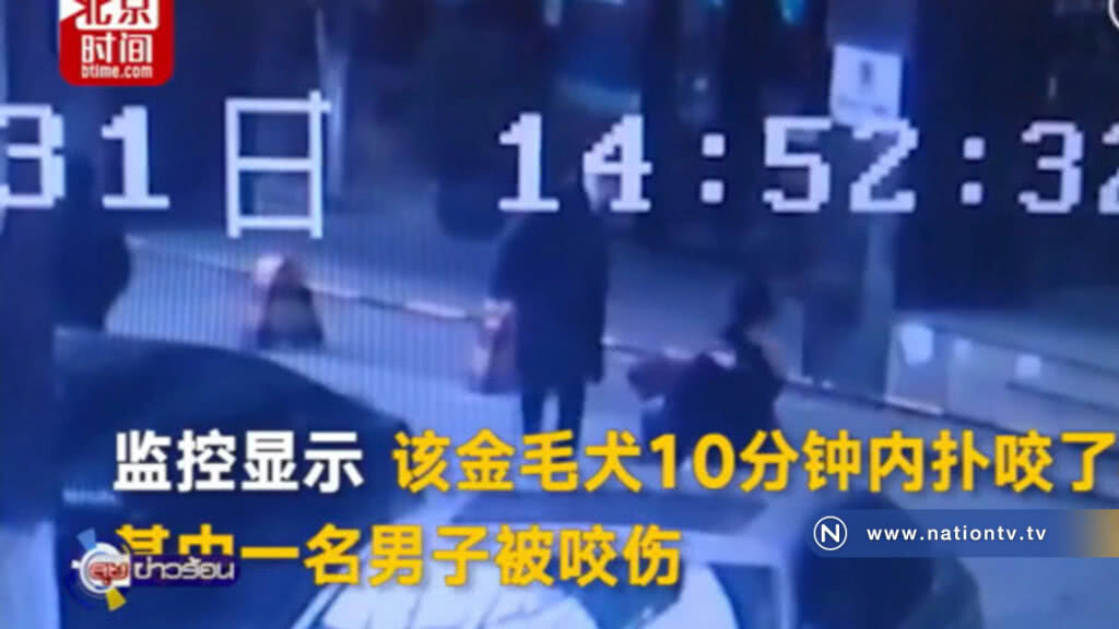ชาวเน็ตจีนประนามตำรวจ ตีสุนัขตายทั้งที่ถูกล่าม