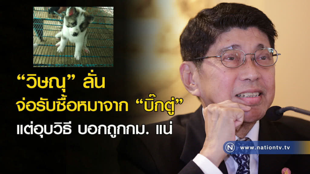 "วิษณุ" ลั่น จ่อรับซื้อหมาจาก บิ๊กตู่ แต่อุบวิธี บอกถูกกม. แน่ "วิษณุ" ลั่น จ่อรับซื้อหมาจาก บิ๊กตู่ แต่อุบวิธี บอกถูกกม. แน่