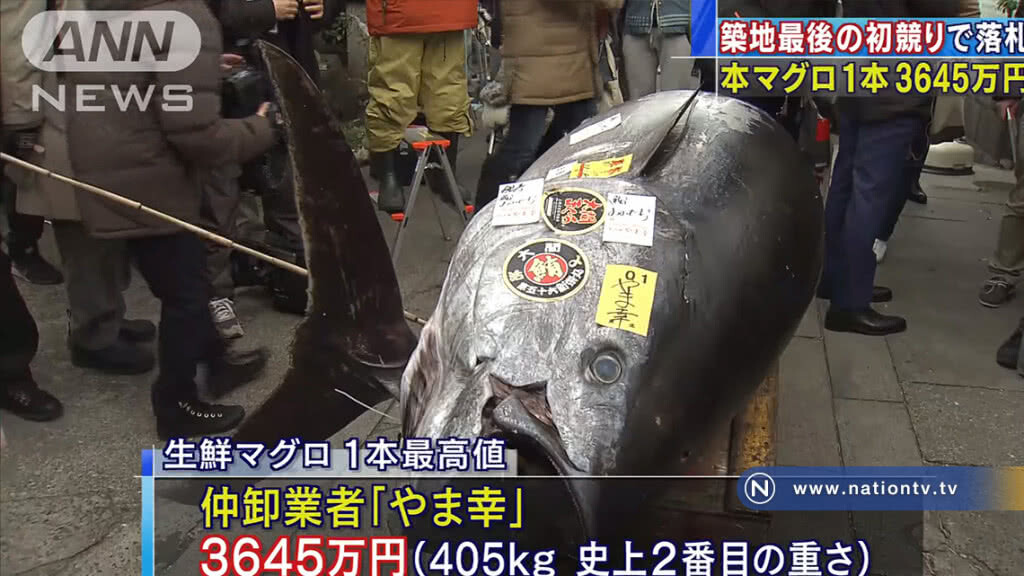ประมูลทูนาสีน้ำเงิน 10 ล้านบาทที่ญี่ปุ่น ประมูลทูนาสีน้ำเงิน 10 ล้านบาทที่ญี่ปุ่น