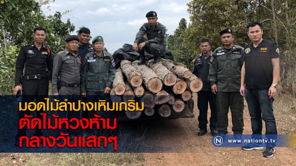 มอดไม้ลำปางเหิมเกริมตัดไม้หวงห้ามกลางวันแสกๆ มอดไม้ลำปางเหิมเกริมตัดไม้หวงห้ามกลางวันแสกๆ