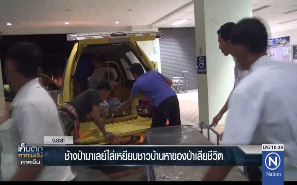 ช้างป่ามาเลย์ไล่เหยียบชาวบ้านหาของป่าเสียชีวิต