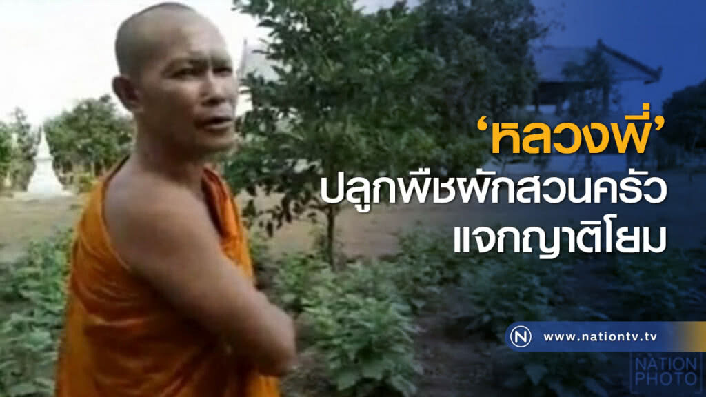 ‘หลวงพี่’ ปลูกพืชผักสวนครัวแจกญาติโยม ‘หลวงพี่’ ปลูกพืชผักสวนครัวแจกญาติโยม