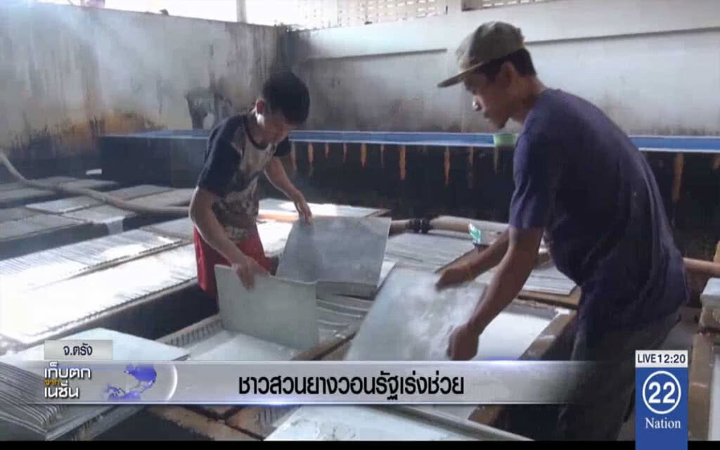 ชาวสวนยางวอนรัฐเร่งช่วย