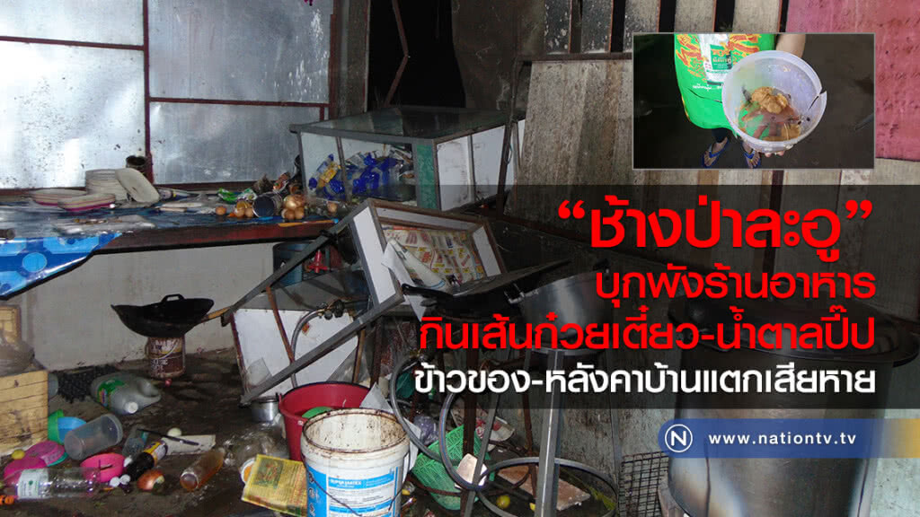 ช้างป่าละอู บุกพังร้านอาหาร
กินเส้นก๋วยเตี๋ยว-น้ำตาลปี๊ป 
ข้าวของ-หลังคาบ้านแตกเสียหาย