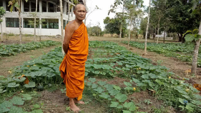 ต้นแบบชุมชน
หลวงพี่ทำดี
ปลูกผักสวนครัวแจกญาติโยม