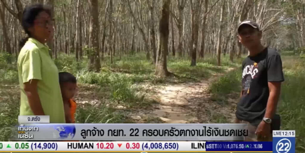 ลูกจ้างกรีดยาง กยท.22 ครอบครัว ตกงาน ไร้เงินชดเชย