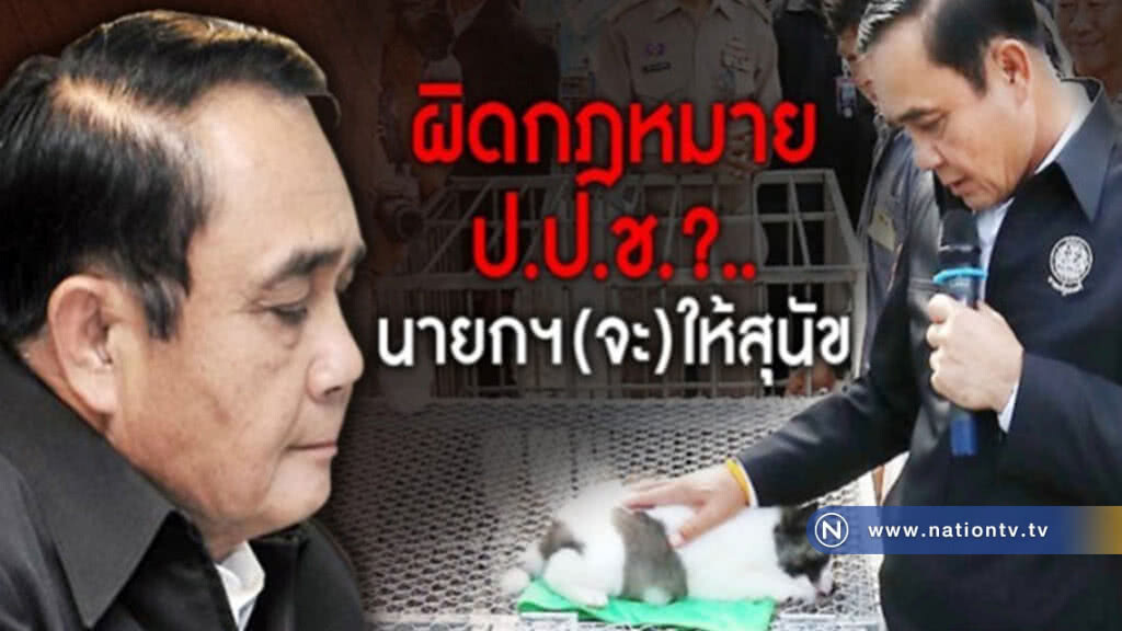 ผิดกฎหมาย ป.ป.ช. ?..นายกฯ(จะ)ให้ลูกสุนัข ผิดกฎหมาย ป.ป.ช. ?..นายกฯ(จะ)ให้ลูกสุนัข