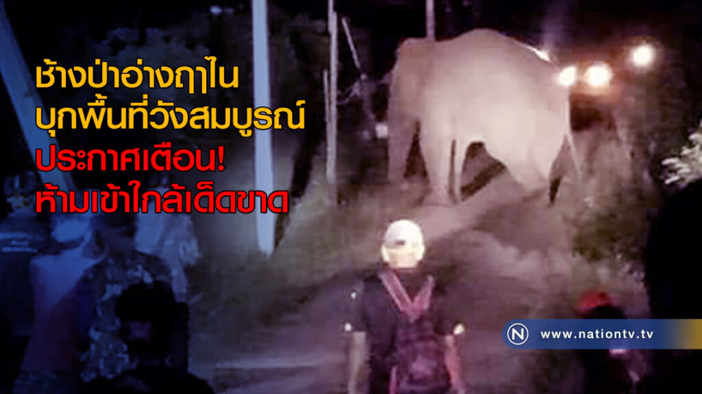 ช้างป่าอ่างฤาไน บุกพื้นที่วังสมบูรณ์ ประกาศเตือนห้ามเข้าใกล้เด็ดขาด