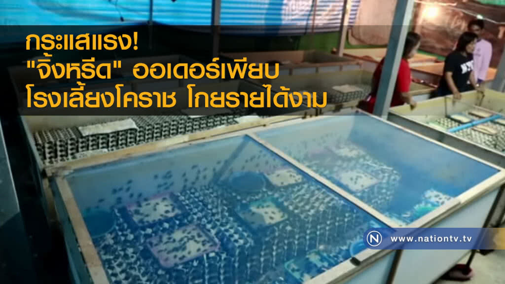ออเดอร์"จิ้งหรีด"เพียบขยายโรงเลี้ยงโกยรายได้