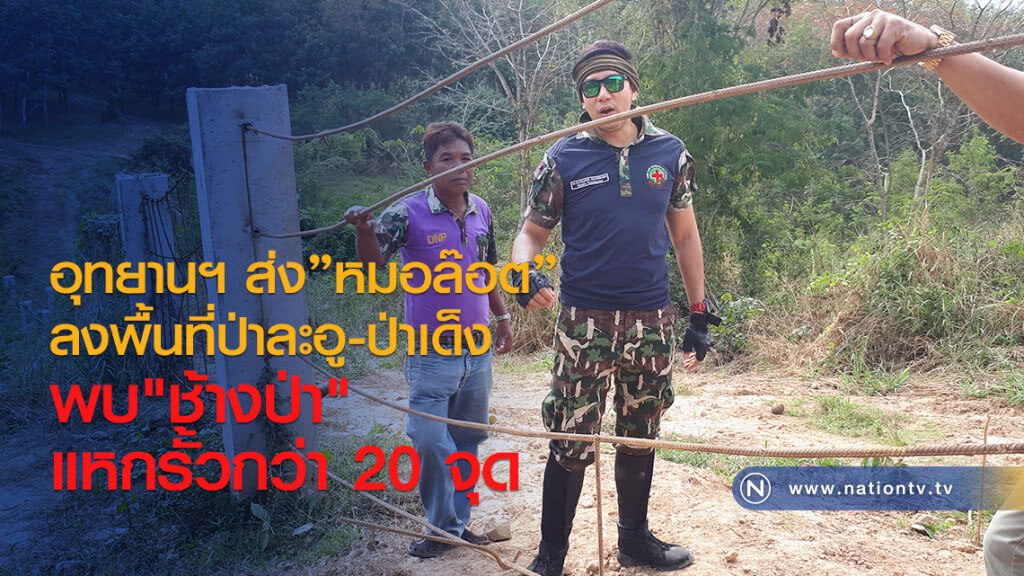 อุทยานฯ ส่ง"หมอล๊อต"
ลงพื้นที่ป่าละอู-ป่าเด็ง
พบ"ช้างป่า"แหกรั้วกว่า 20 จุด