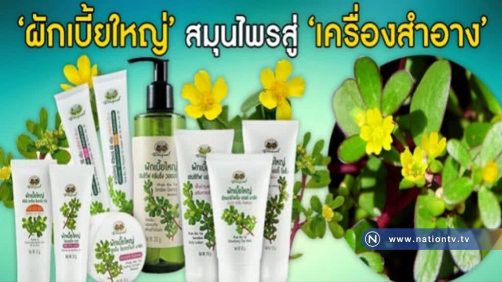 ครั้งแรกในไทย!! เครื่องสำอางสมุนไพร "ผักเบี้ยใหญ่"