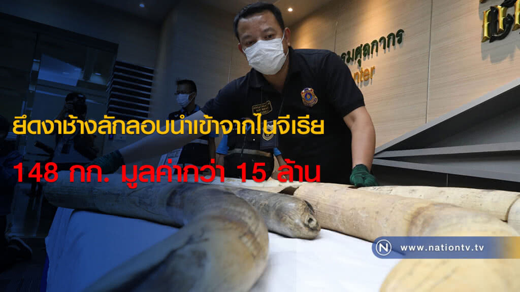 ยึดงาช้างลักลอบนำเข้าจากไนจีเรีย 148 กก. มูลค่ากว่า 15 ล้าน ยึดงาช้างลักลอบนำเข้าจากไนจีเรีย 148 กก. มูลค่ากว่า 15 ล้าน