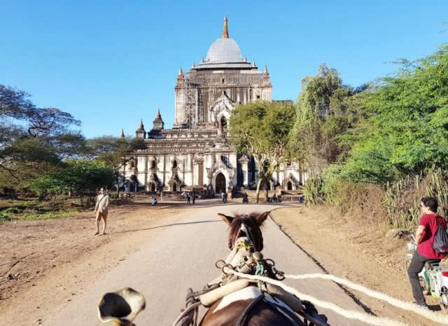 รอยเลื่อนสะกายขยับ แผ่นดินไหว5.9 พม่า 
สะเทือนถึงกรุงเทพ
อาฟเตอร์ช็อก16ครั้ง