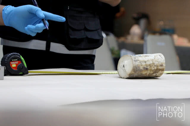 ยึดงาช้างลักลอบนำเข้าจากไนจีเรีย 148 กก. มูลค่ากว่า 15 ล้าน