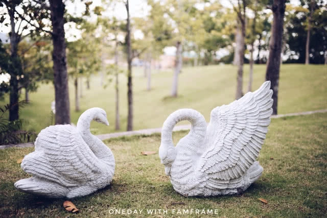 Swan lake เขาใหญ่  ป่าใหม่ที่สร้างขึ้นเอง