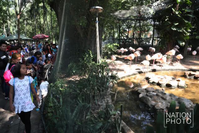 กิจกรรมวันเด็ก ที่สวนสัตว์ดุสิต
