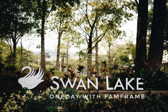 Swan lake เขาใหญ่  ป่าใหม่ที่สร้างขึ้นเอง