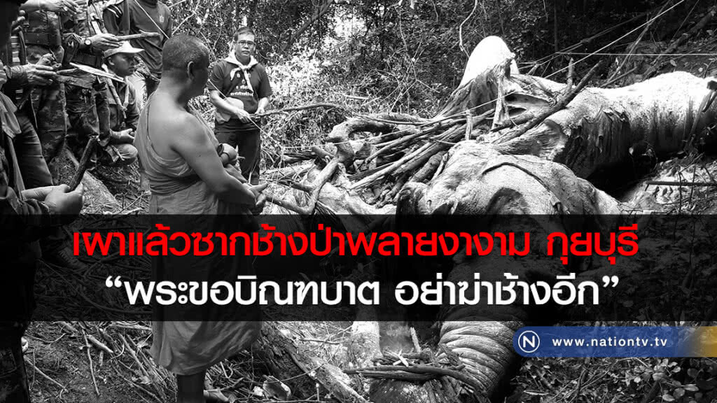 เผาแล้วซากช้างป่าพลายงางาม กุยบุรี 
"พระขอบิณฑบาต อย่าฆ่าช้างอีก"
