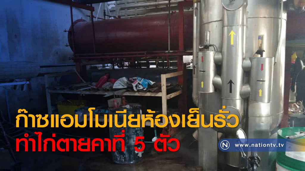 ก๊าซแอมโมเนียห้องเย็นรั่วทำไก่ตายคาที่ 5 ตัว ก๊าซแอมโมเนียห้องเย็นรั่วทำไก่ตายคาที่ 5 ตัว