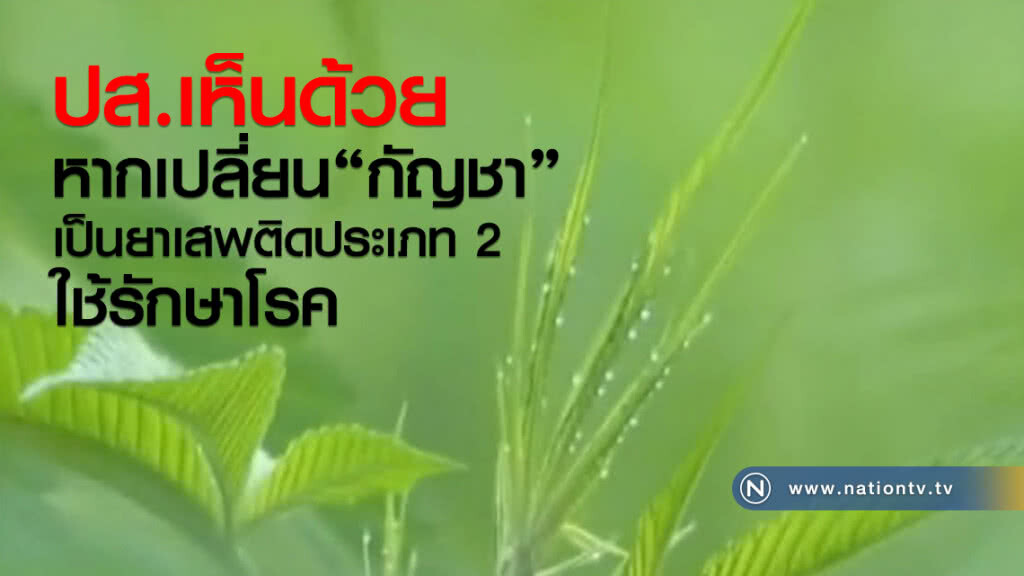 ปส.เห็นด้วย
หากเปลี่ยน "กัญชา"
เป็นยาเสพติดประเภท 2 ใช้รักษาโรค ปส.เห็นด้วย
หากเปลี่ยน "กัญชา"
เป็นยาเสพติดประเภท 2 ใช้รักษาโรค