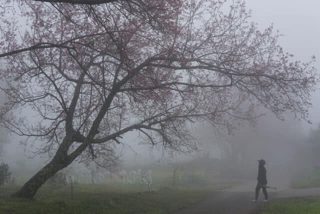 หนาวปลายมกราคมนี้ 
ยังไม่ใช่หนาวสุดท้าย
