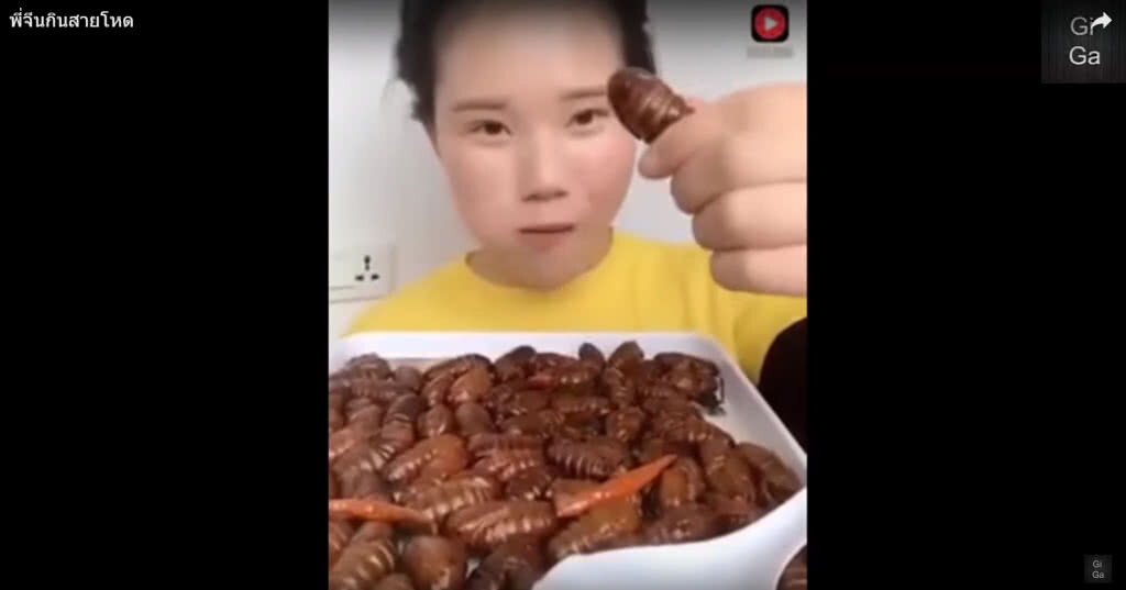 สาวกินโหด กินแปลก