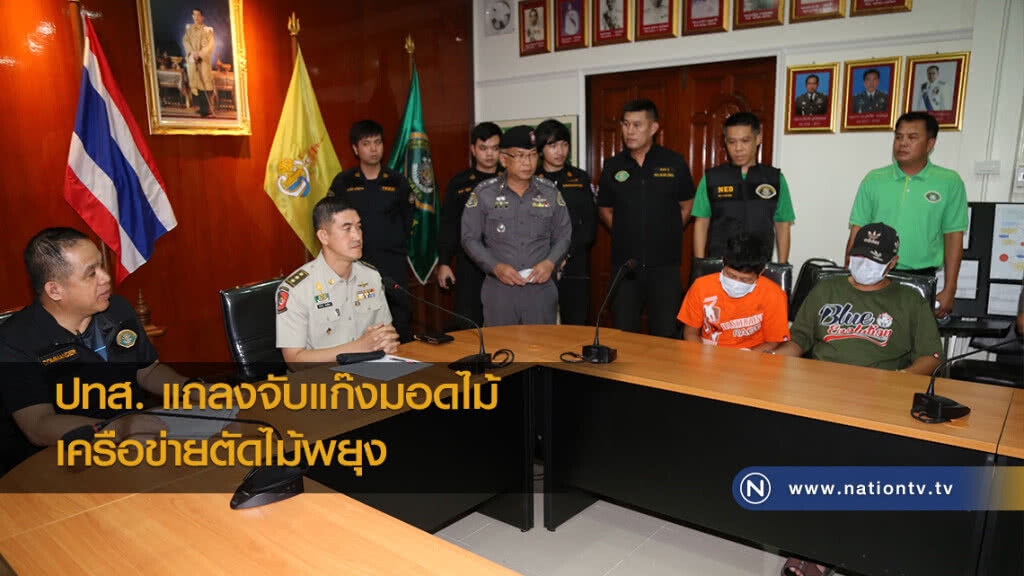 ปทส. แถลงจับแก๊งมอดไม้ เครื่อข่ายตัดไม้พยุง