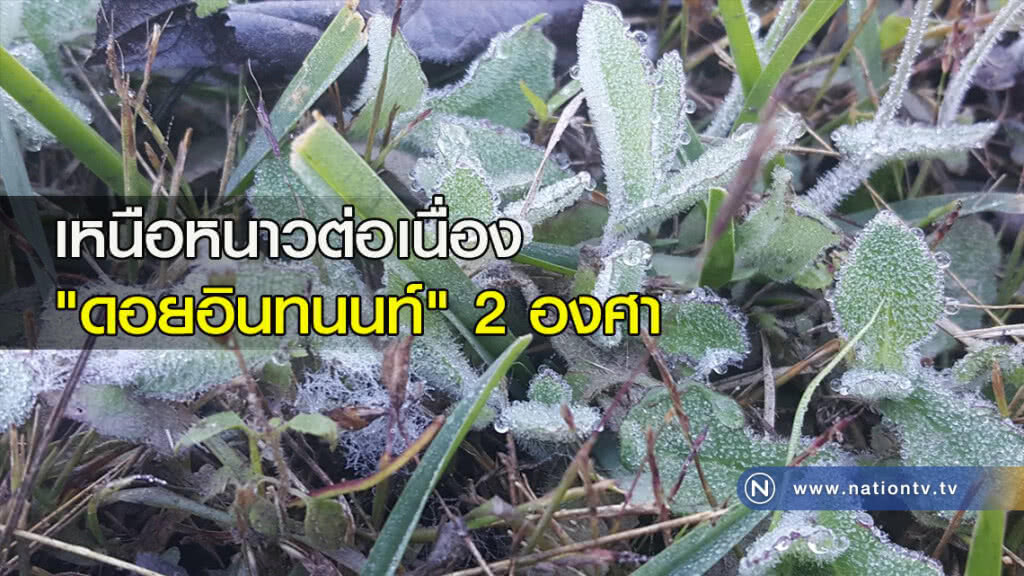 เหนือหนาวต่อเนื่อง "ดอยอินทนนท์" 2 องศา เหนือหนาวต่อเนื่อง "ดอยอินทนนท์" 2 องศา