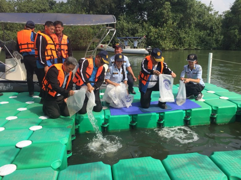 ทช.เปิดตัวป่าชายเลนกลางเมืองระยอง เพิ่มปอดให้คนเมือง