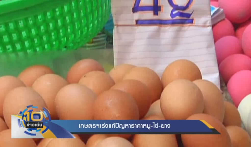 เกษตรฯ เร่งแก้ปัญหาราคาหมู-ไข่-ยาง เกษตรฯ เร่งแก้ปัญหาราคาหมู-ไข่-ยาง