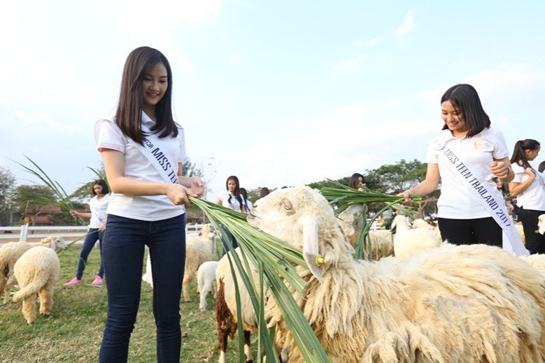 สาวมิสทีนฯ ลั้นลาเขาใหญ่ก่อนขึ้นเวทีชิงมง 