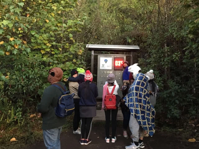 กุหลาบพันปีสีแดงสดใส บานสะพรั่งรับลมหนาวเชียงใหม่