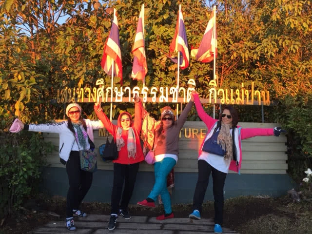 กุหลาบพันปีสีแดงสดใส บานสะพรั่งรับลมหนาวเชียงใหม่