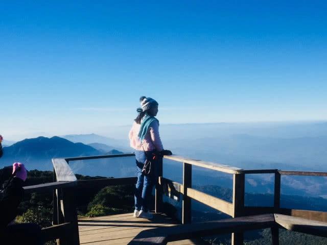 กุหลาบพันปีสีแดงสดใส บานสะพรั่งรับลมหนาวเชียงใหม่