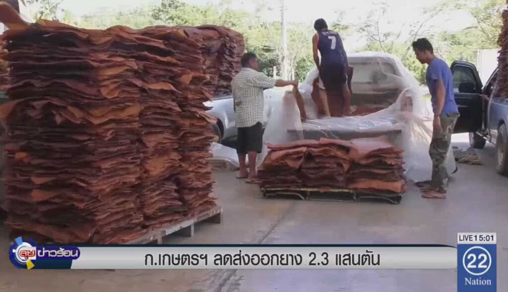 ก.เกษตรฯ ลดส่งออกยาง 2.3 แสนตัน ก.เกษตรฯ ลดส่งออกยาง 2.3 แสนตัน