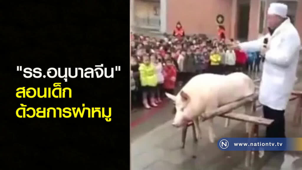 "รร.อนุบาลจีน" สอนเด็กด้วยการผ่าหมู