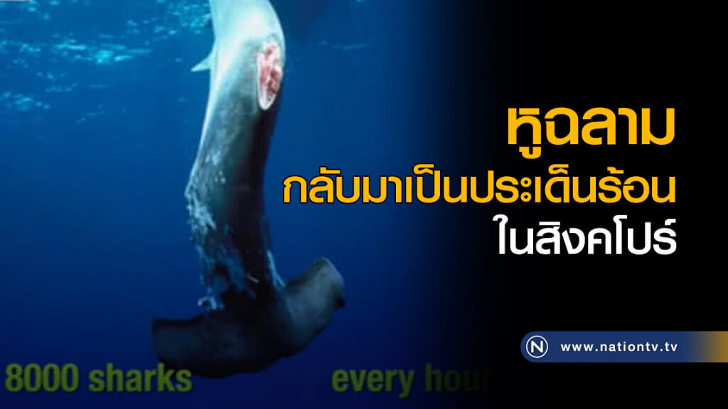 หูฉลามกลับมาเป็นประเด็นร้อนในสิงคโปร์ หูฉลามกลับมาเป็นประเด็นร้อนในสิงคโปร์