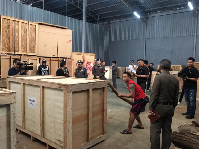 "ศรีวราห์" บุกจับโกดังเก็บไม้พยุงเถื่อน มูลค่ากว่า 30 ล้านบาท