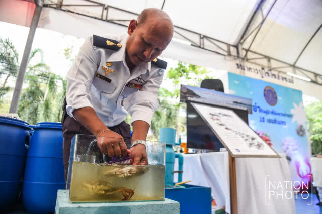 ธนาคารปูไข่โซลาร์เซลล์ ตามรอยพระราชดำริเพื่อความยั่งยืน