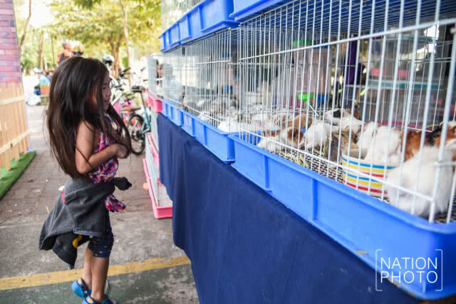 เกษตรแฟร์ 2561 ใต้แนวคิด ร่วมกันก้าวไป เกษตรไทย 4.0