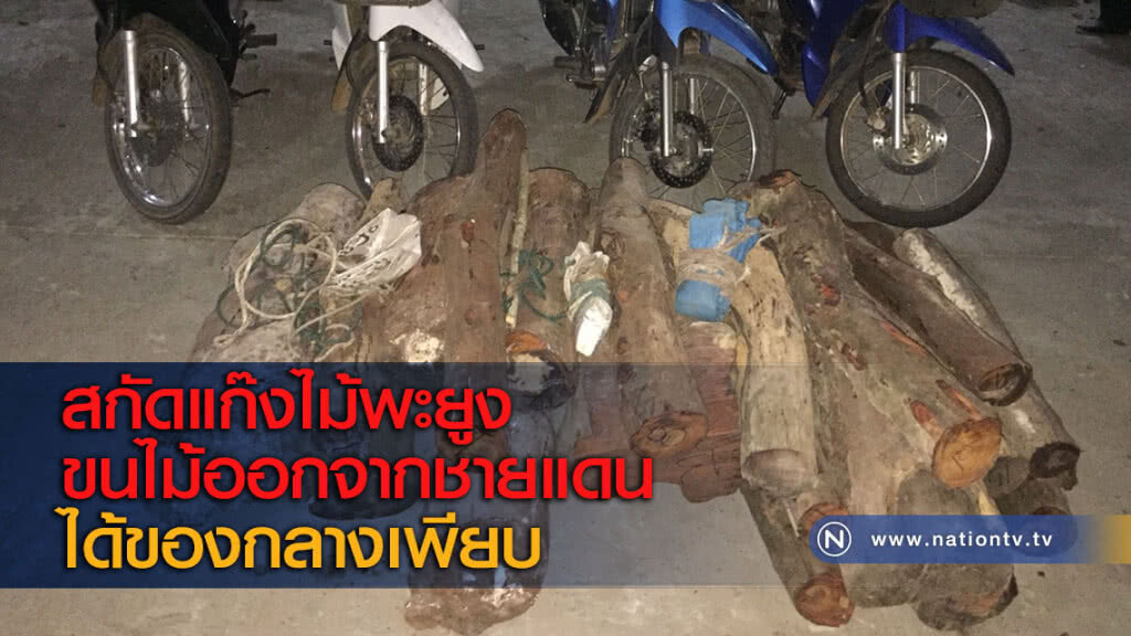 สกัดแก๊งไม้พะยูงขนไม้ออกจากชายแดนได้ของกลางเพียบ