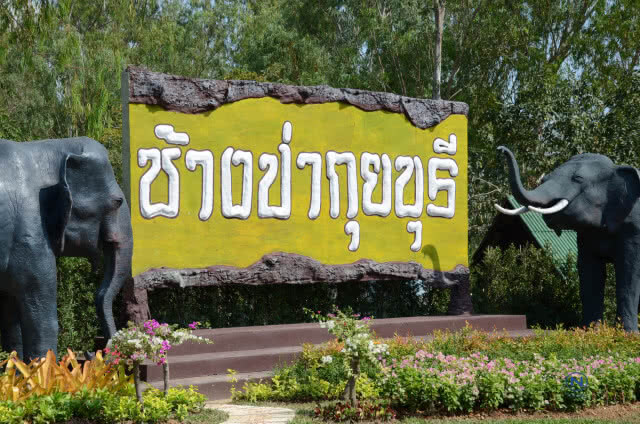 กรมอุทยานฯจับมือเอกชน ติดกล้องแจ้งเตือนช้างป่า25จุด ป้องกันพื้นที่เกษตร