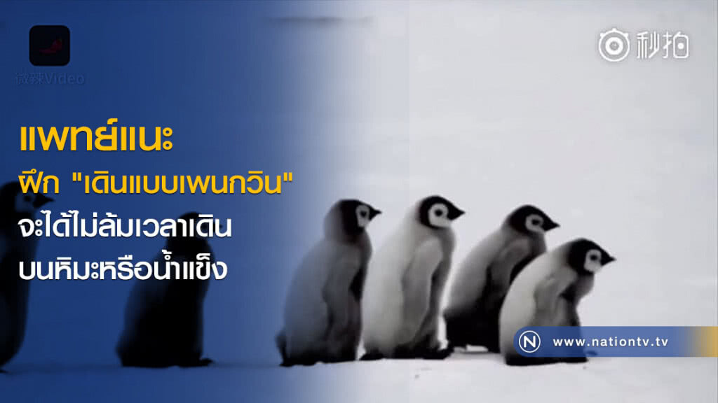 แพทย์แนะฝึก "เดินแบบเพนกวิน" จะได้ไม่ล้มเวลาเดินบนหิมะหรือน้ำแข็ง แพทย์แนะฝึก "เดินแบบเพนกวิน" จะได้ไม่ล้มเวลาเดินบนหิมะหรือน้ำแข็ง