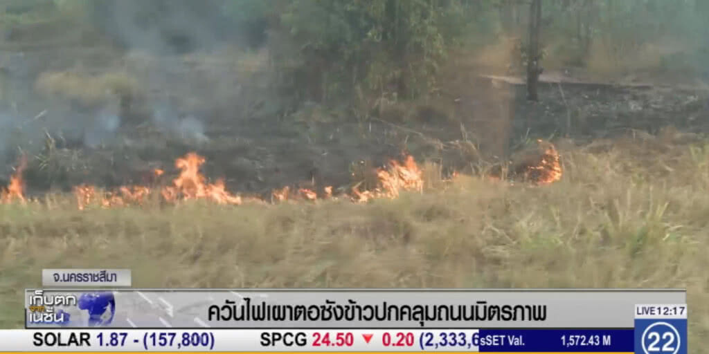 เผาตอซังข้าว ทำ ปชช.เดือดร้อน หลังควันปกคลุมถนน