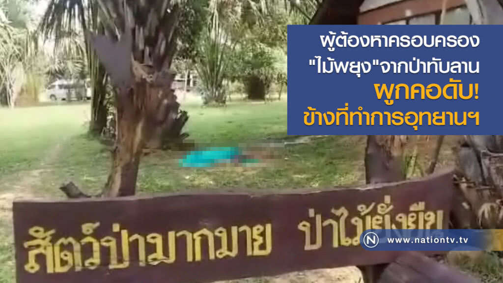 ผู้ต้องหาครอบครอง
"ไม้พยุง"จากป่าทับลาน
ผูกคอดับ ผู้ต้องหาครอบครอง
"ไม้พยุง"จากป่าทับลาน
ผูกคอดับ